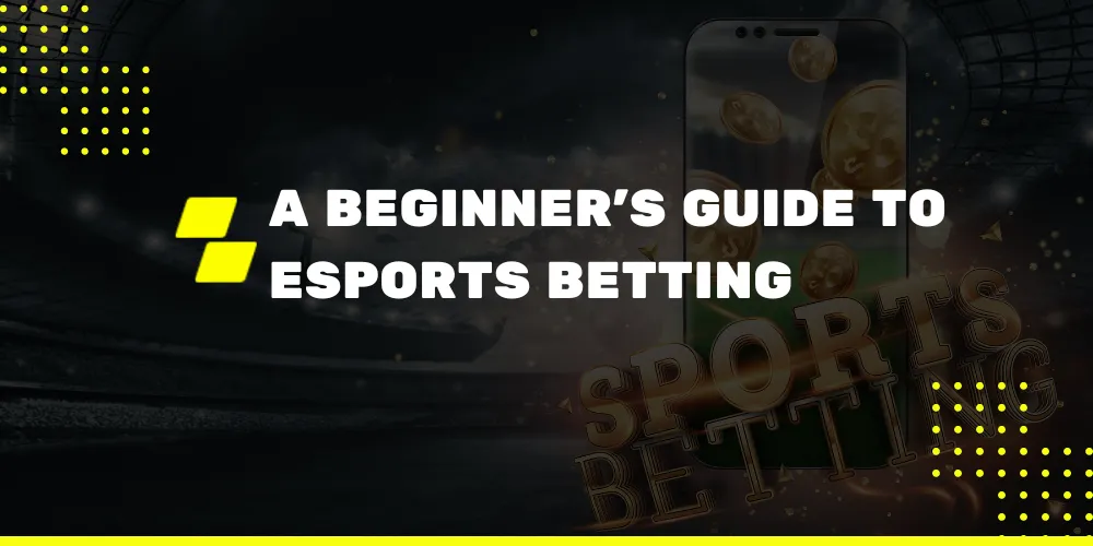 A Beginner's Guide to Esports Betting